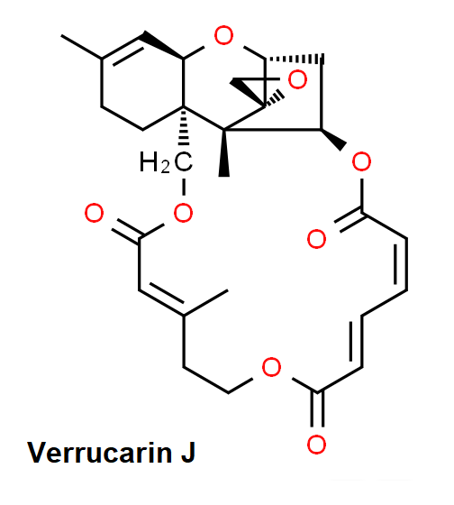 Verrucarin J