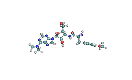 Puromycin_aminonucleoside.gif